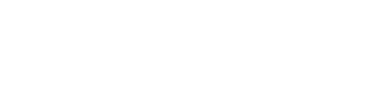 Divello logo